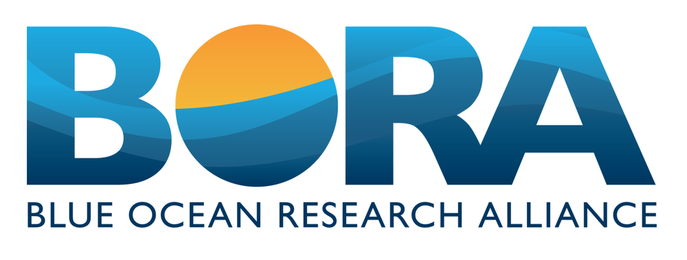 BORA logo